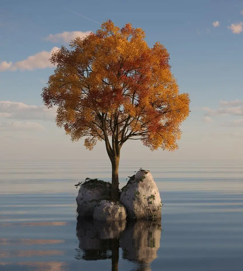 Home hero image three